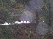 12.27.05 Triple Falls 023 